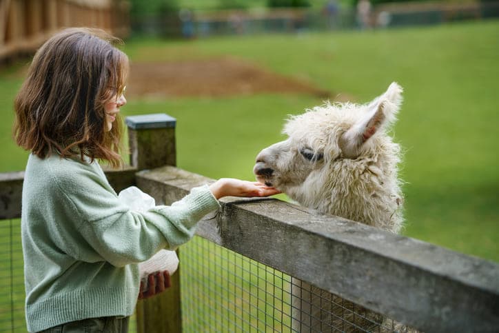 Ein Sommerausflug im Wildpark Bad Mergentheim